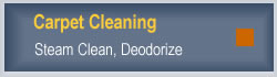 Carpet Cleaning
