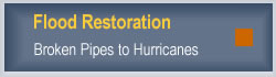 Flood Restoration