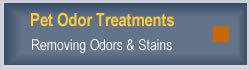 Pet Odor Treatments