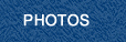 Gallery of Photos
